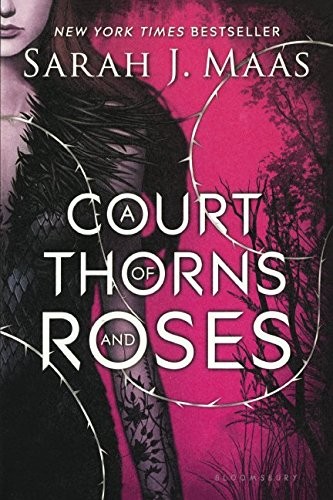 Capa de Corte de Espinhos e Rosas